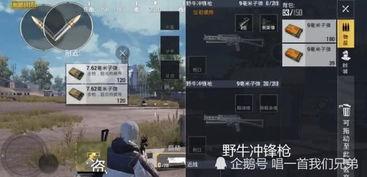 刺激战场测试服最新爆料,全新内容与优化来袭，玩家体验再升级